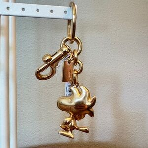 COACH x Peanuts Keychain - Woodstock